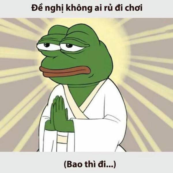 Tổng hợp 987+ hình ảnh meme hết tiền hài hước & vui nhộn 22 Hình meme ếch xanh hết tiền