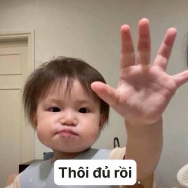 Bộ sưu tập 99+ hình ảnh meme bất lực hài hước, sáng tạo 21 Hình meme em bé bất lực