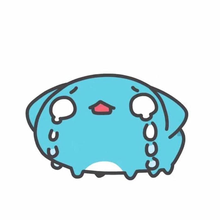 Hình meme mèo khóc cute