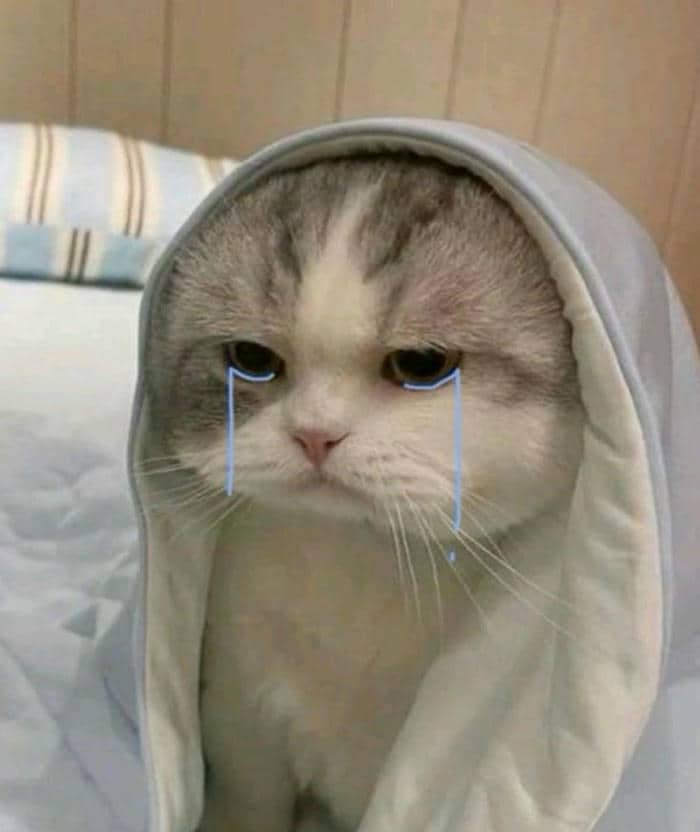 98+ Hình ảnh meme khóc buồn hài hước cười ra nước mắt