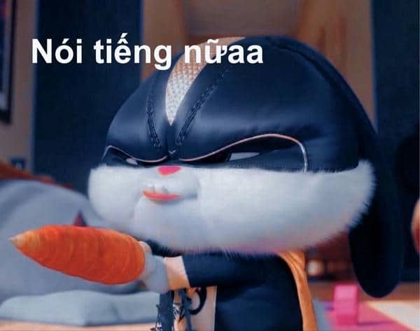 Hình meme thỏ đánh người
