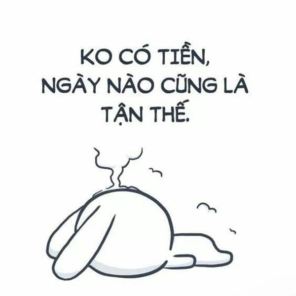 Hình meme thỏ hết tiền hài hước