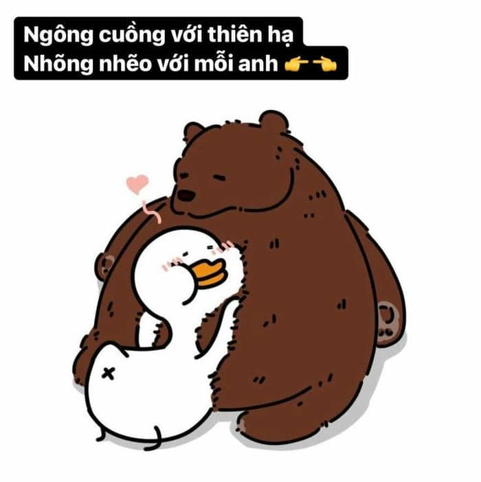 Bộ sưu tập 98+ ảnh vịt meme siêu bựa, hài hước 20 Hình meme vịt cute