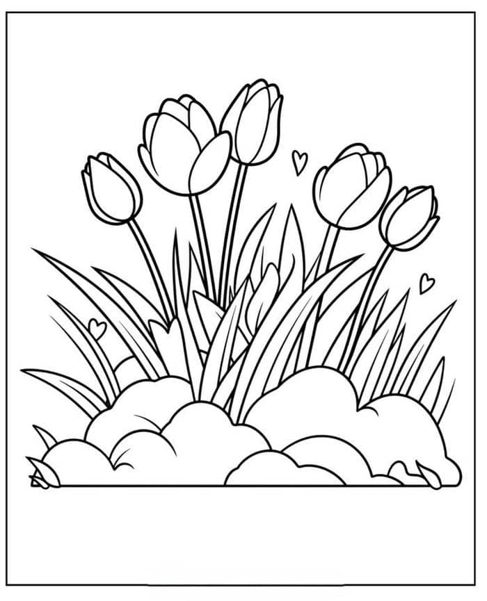 Hình tranh tô màu hoa tulip đơn giản cho bé