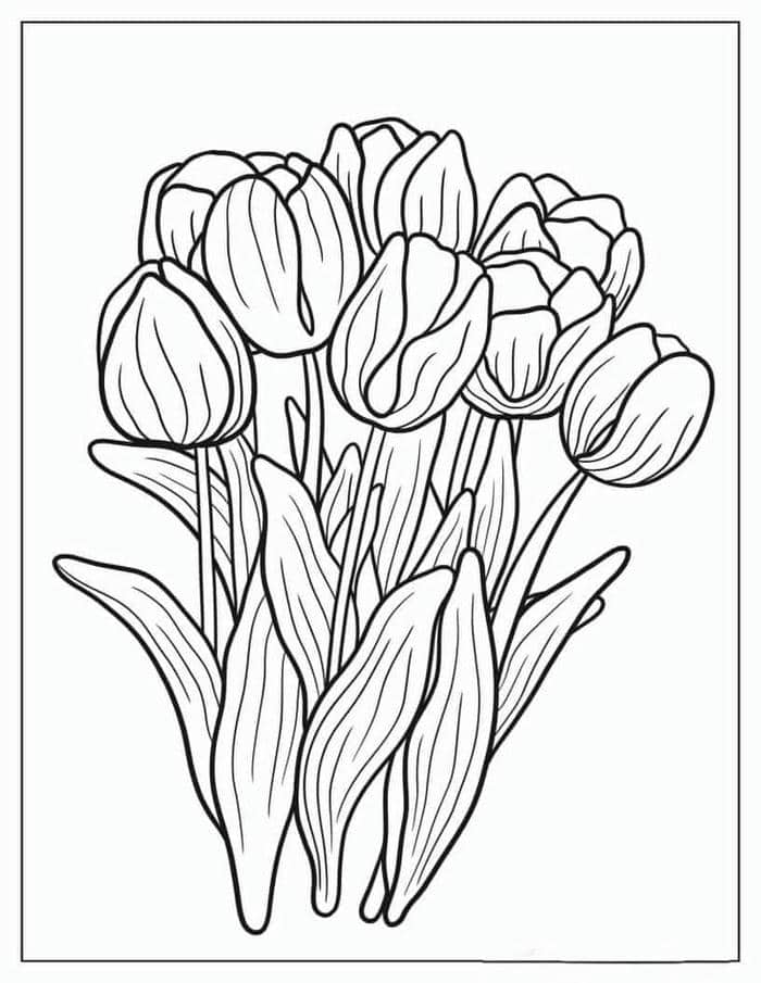 Gợi ý 78+ bộ vẽ tranh tô màu hoa tulip đẹp nhất cho bé 24 Hình tranh tô màu hoa tulip