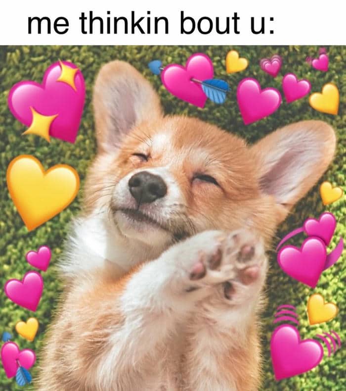 Hình yêu meme cute