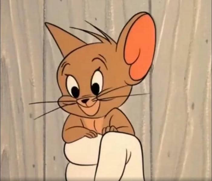 Jerry meme Tom and Jerry cute
