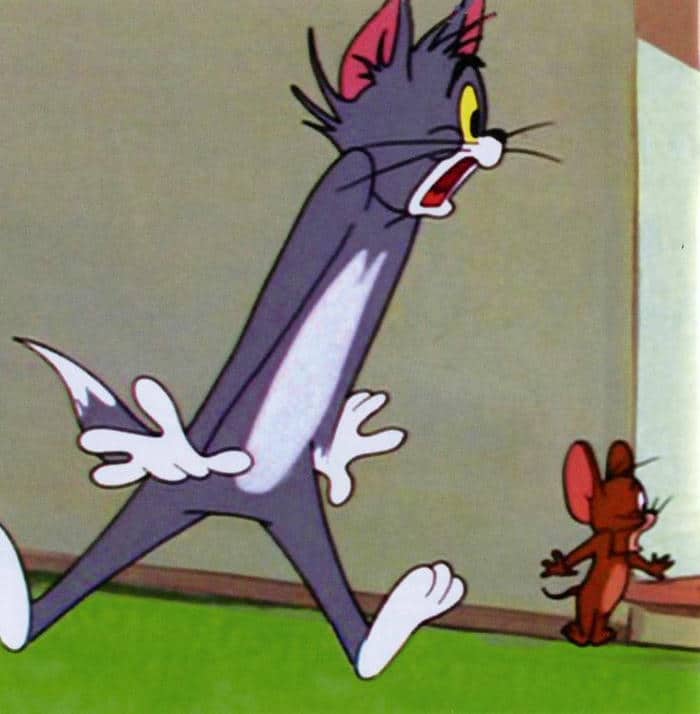 Meme Tom and Jerry