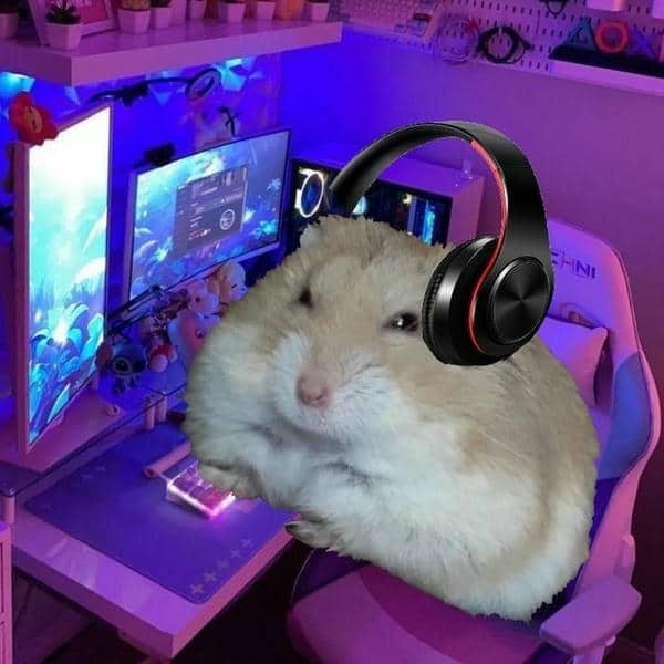 Bộ sưu tập 99+ Hamster meme siêu hài hước, cực đáng yêu 28 Meme ảnh chuột hamster chế