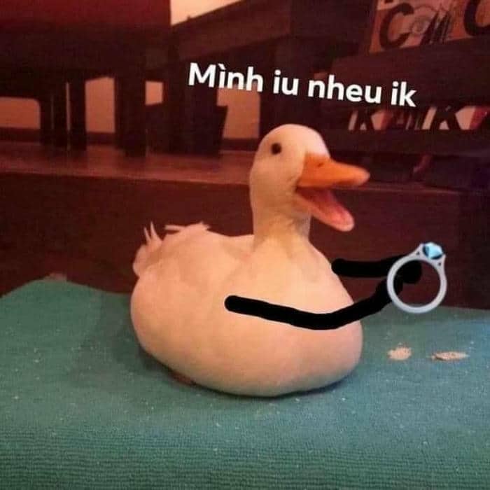 Bộ sưu tập 98+ ảnh vịt meme siêu bựa, hài hước 23 Meme ảnh con vịt chế