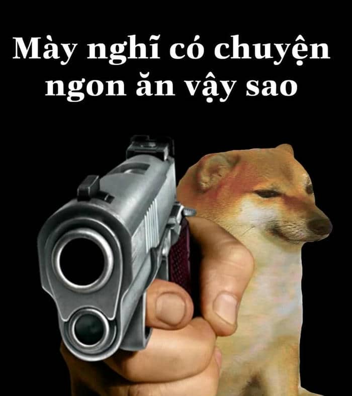 Tuyển tập 98+ hình ảnh meme cầm súng hài hước, đáng yêu 18 Meme bắn súng