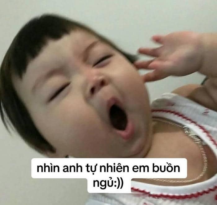 Meme buồn ngủ cute