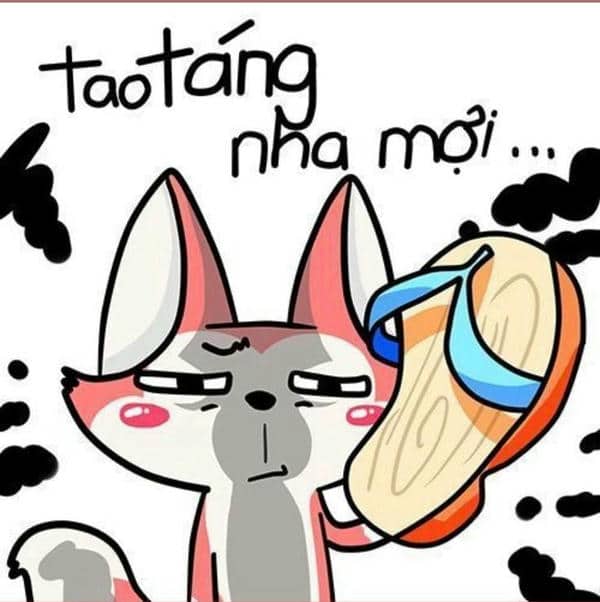 Meme cầm dép đánh
