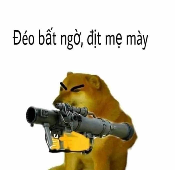 Tuyển tập 98+ hình ảnh meme cầm súng hài hước, đáng yêu 22 Meme chó bắn súng
