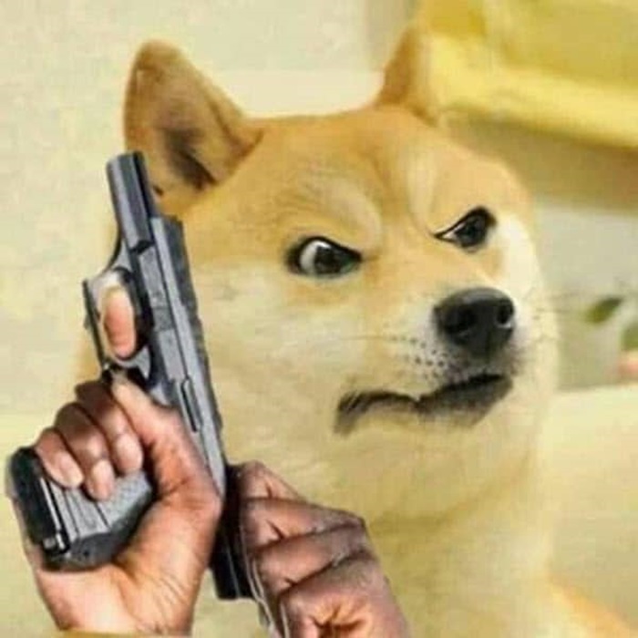 Meme chó Shiba cầm sung