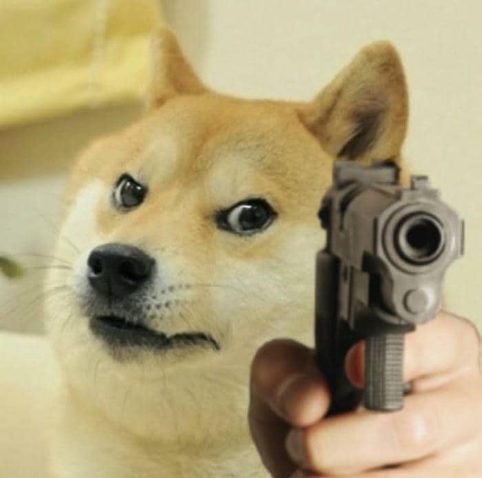 Meme chó bắn súng