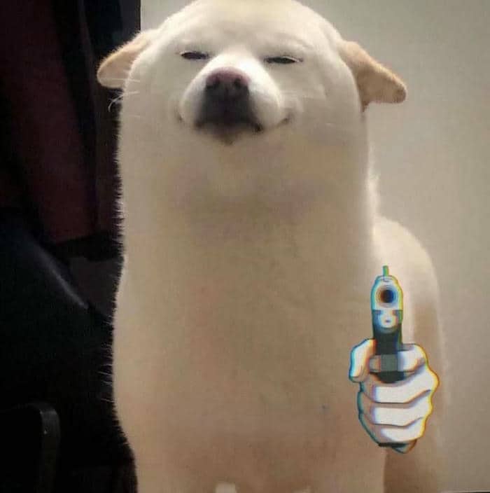 Tuyển tập 98+ hình ảnh meme cầm súng hài hước, đáng yêu 26 Meme chó cầm súng