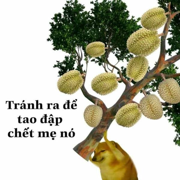 Meme chó đánh