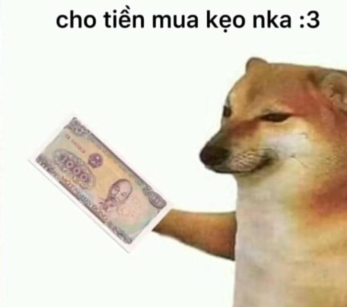 Meme cho tiền