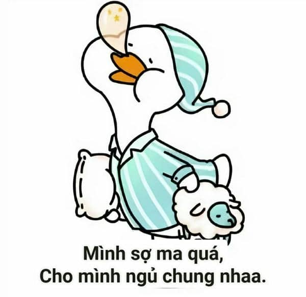 Meme chúc ngủ ngon đáng yêu