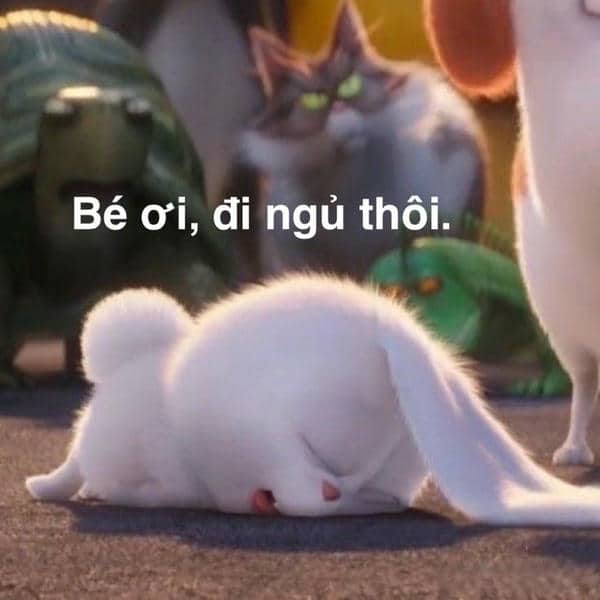 Gợi ý 898+ hình ảnh meme ngủ ngon cười ra nước mắt 24 Meme chúc ngủ ngon dễ thương