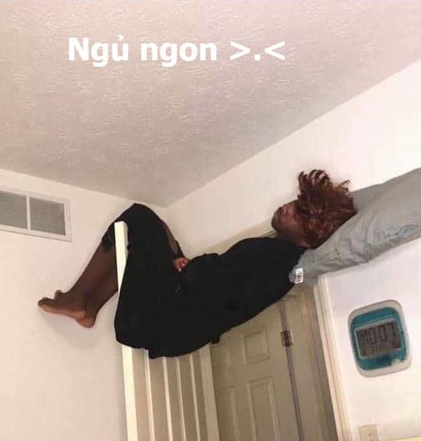 Meme chúc ngủ ngon hài hước