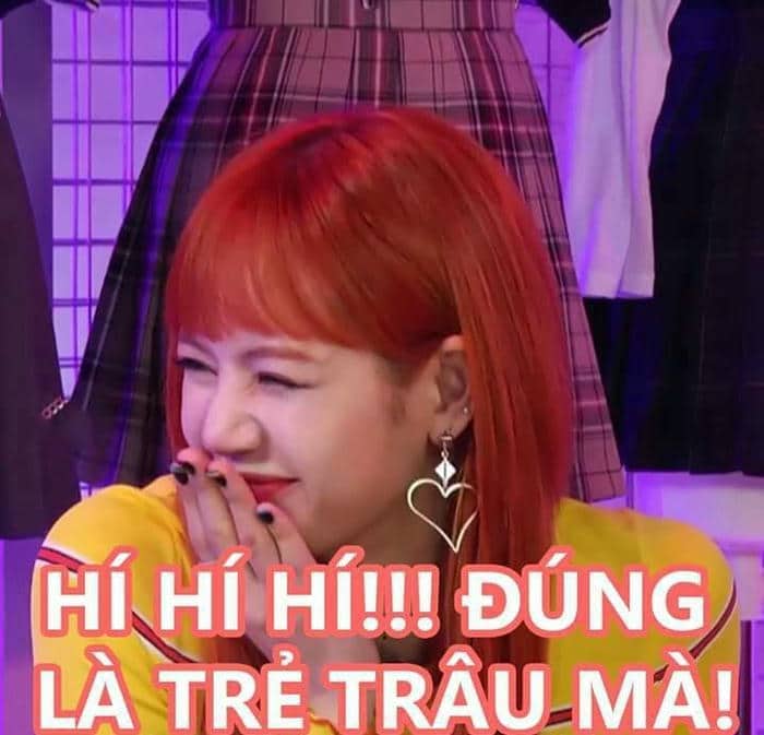 Meme chửi người