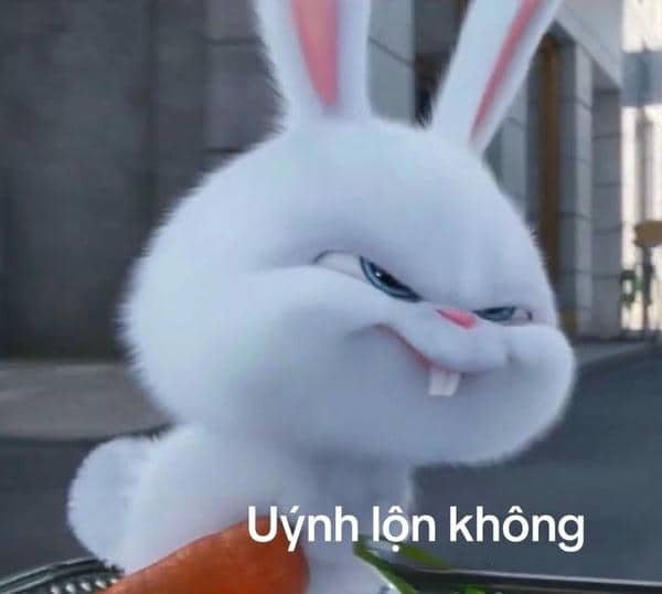 Meme đánh nhau không