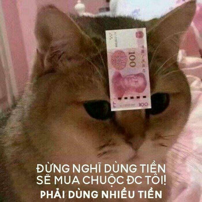 Tải ngay 90+ ảnh meme tiền cực kỳ hài hước, dí dỏm 19 Meme đập tiền vào mặt