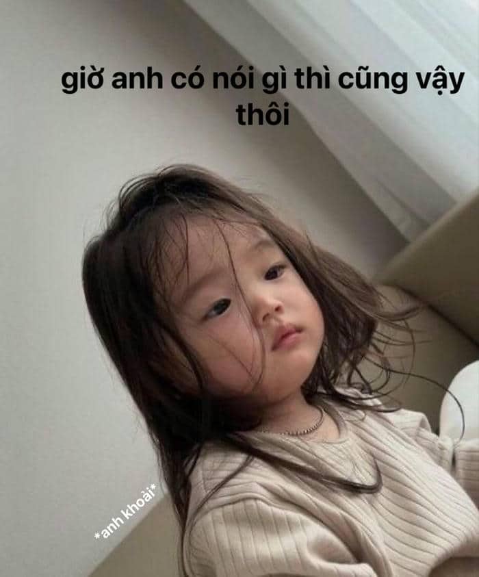 55+ Meme buồn ngủ hài hước với hình ảnh gấu trúc và mèo
