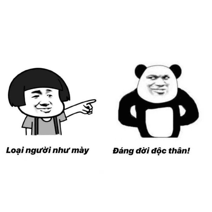 Meme gấu trúc chửi