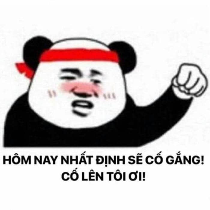 Tổng hợp 958+ mẫu meme cố lên siêu hài hước, thú vị 34 Meme gấu trúc cố lên