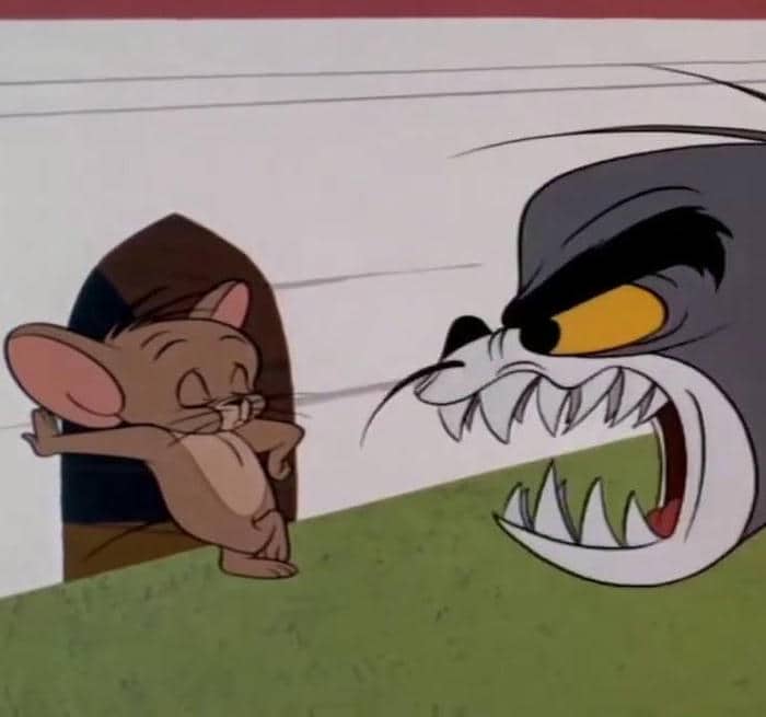 Meme hình Tom and Jerry hài