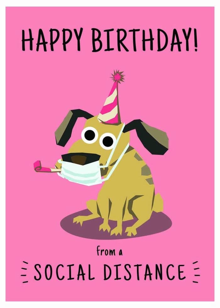 Gợi ý 989+ hình ảnh happy birthday meme siêu hài bựa 37 Meme hình ảnh happy birthday
