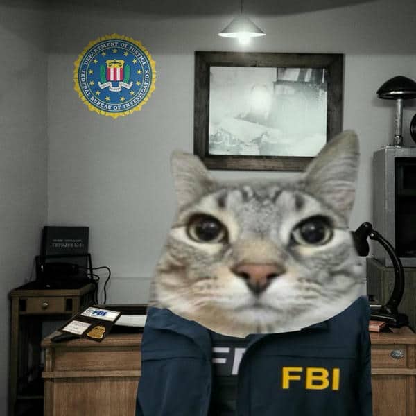 Meme hình mèo fbi