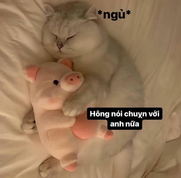 Gợi ý 898+ hình ảnh meme ngủ ngon cười ra nước mắt