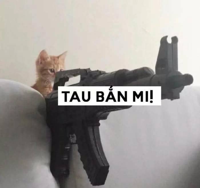 Tuyển tập 98+ hình ảnh meme cầm súng hài hước, đáng yêu