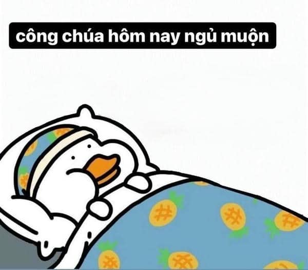 Gợi ý 898+ hình ảnh meme ngủ ngon cười ra nước mắt 32 Meme hình ngủ ngon đáng yêu
