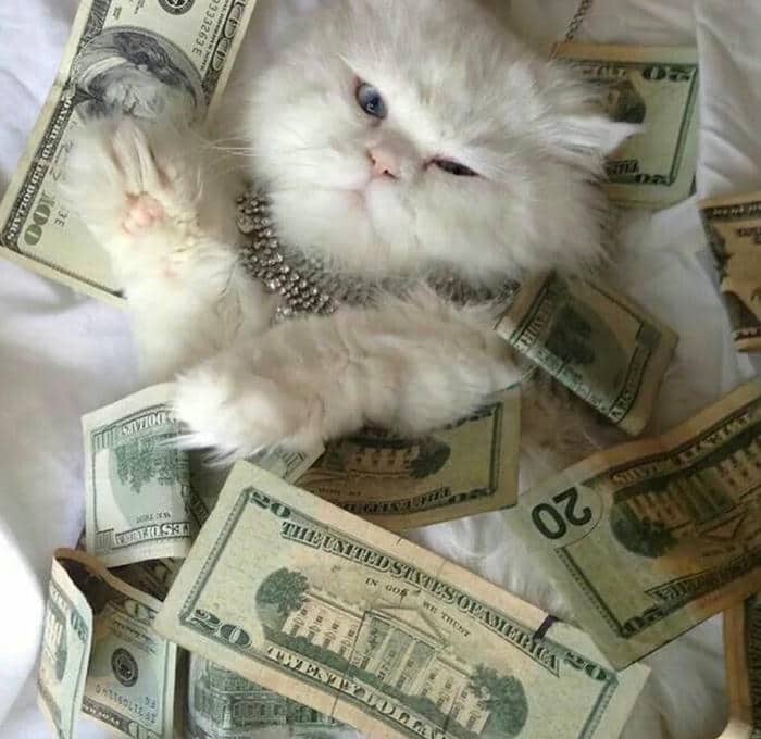 Tải ngay 90+ ảnh meme tiền cực kỳ hài hước, dí dỏm 26 Meme nhiều tiền