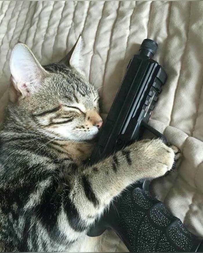 Tuyển tập 98+ hình ảnh meme cầm súng hài hước, đáng yêu 34 Meme súng