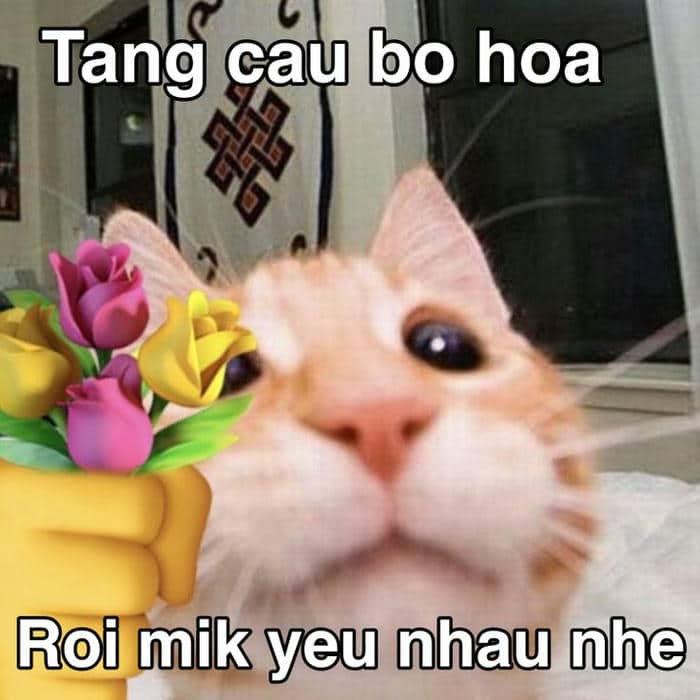 Meme tình yêu hài hước