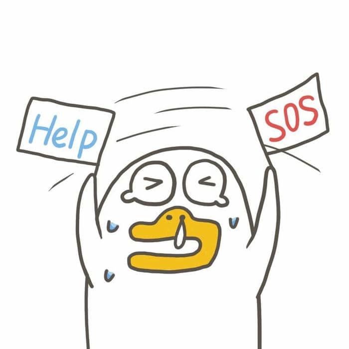 Bộ sưu tập 98+ ảnh vịt meme siêu bựa, hài hước 35 Thú mỏ vịt meme