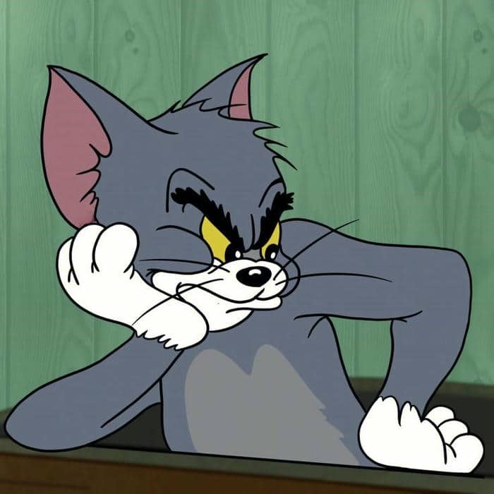 Gợi ý 99+ hình ảnh Tom and Jerry meme siêu hài hước