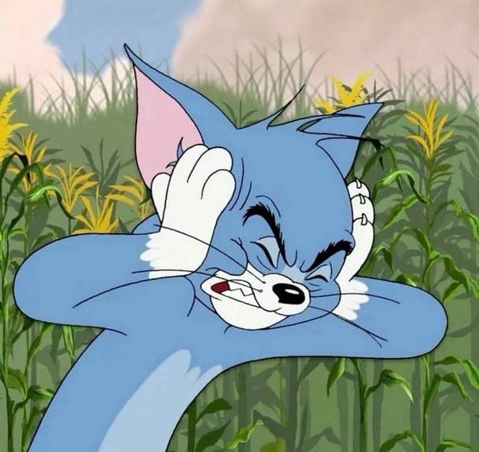 Tom and Jerry face meme