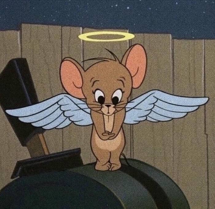 Tom and Jerry meme cute