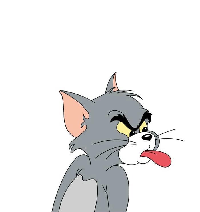 Tom and Jerry meme hài cute