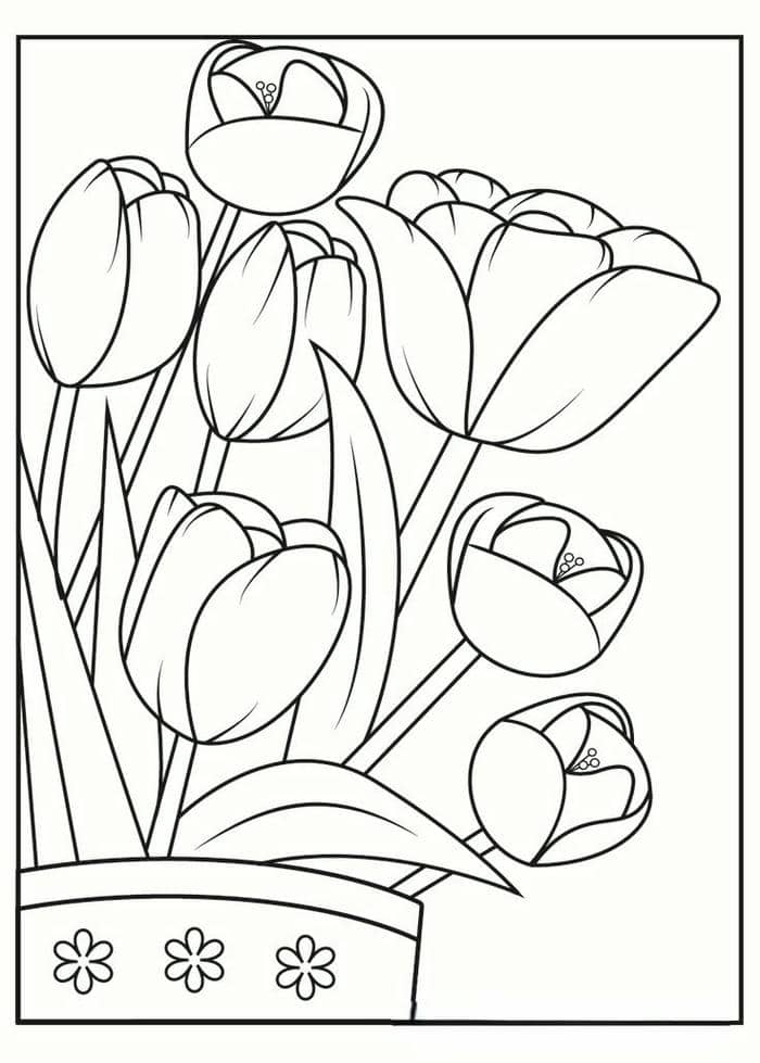 Tranh tô màu chậu hoa tulip đơn giản