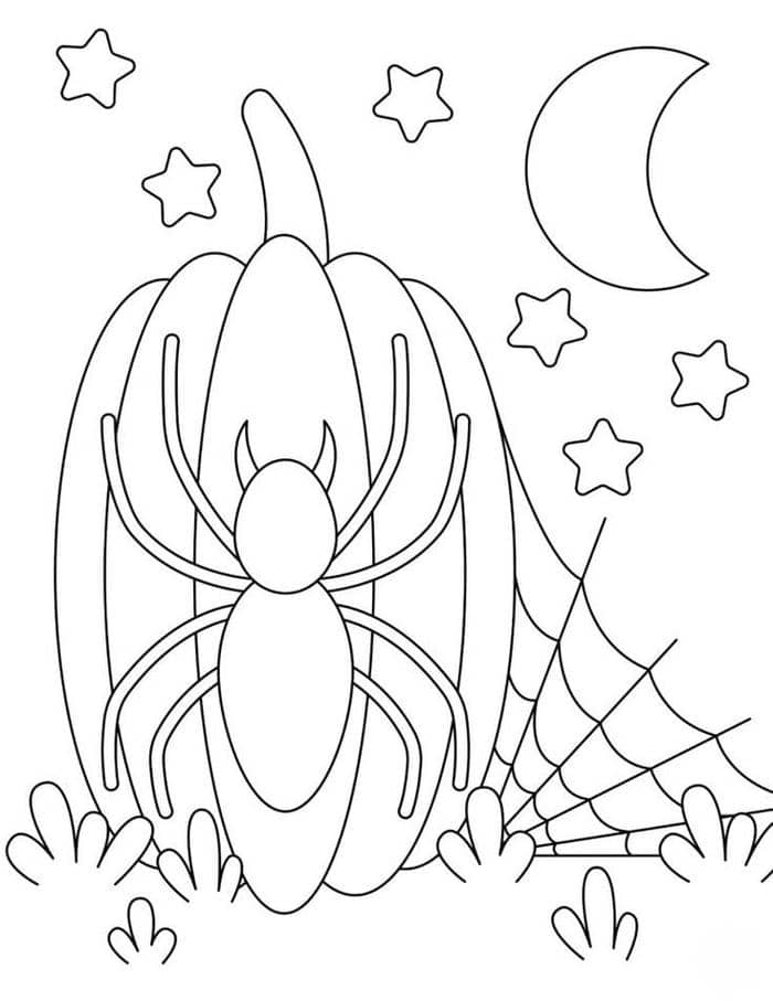 Tổng hợp 100+ hình tranh tô màu con nhện halloween cho bé