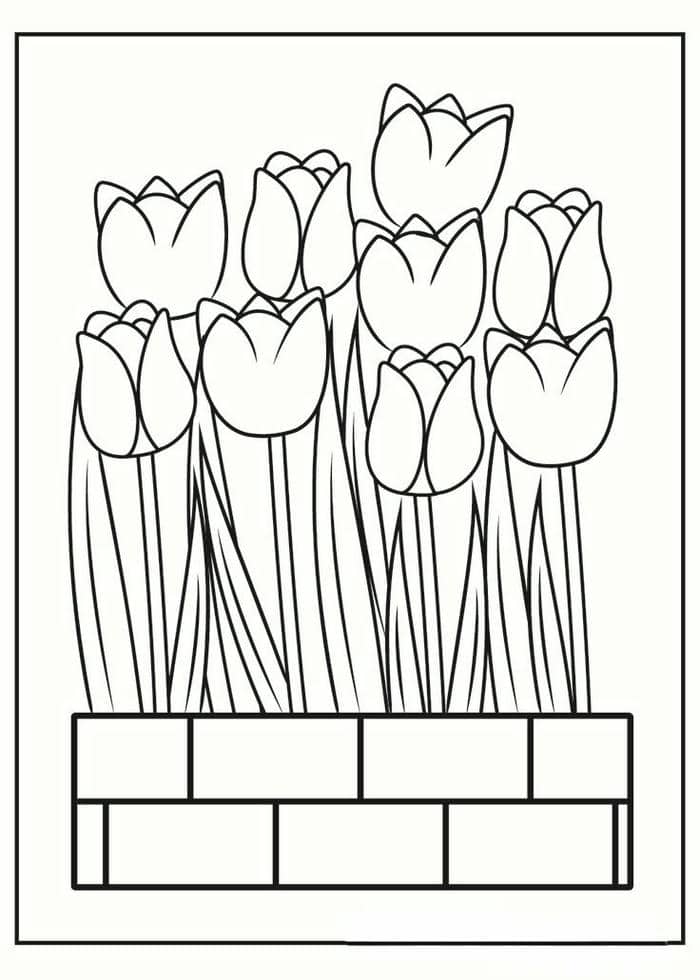 Tranh tô màu hoa tulip đẹp đơn giản