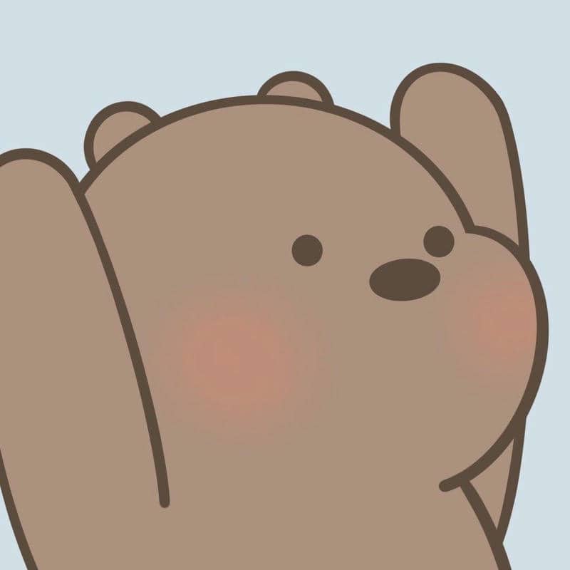 ảnh chú gấu cute